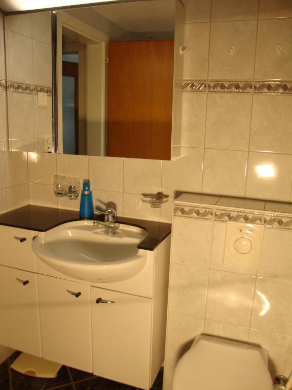 Studio Elsighorn Apartamento Frutigen Habitación foto